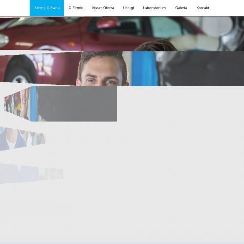 Katowice - naprawa pomp pld łódź