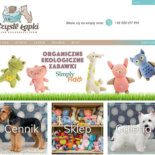 Salon fryzjerski dla psów w Warszawie