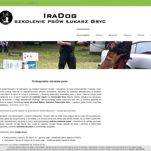 Szkolenia psów w Opolu