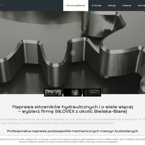 Kraków - naprawa chwytaków