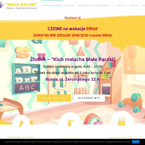 Profesjonalny żłobek - Gdynia