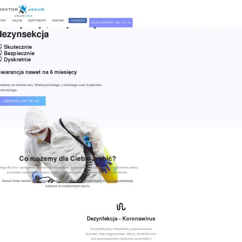 Dezynsekcja karaluchów w Łodzi