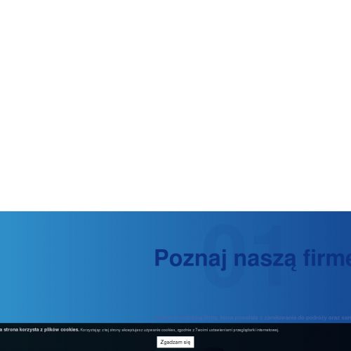 Wypożyczenie kampera cena - Katowice