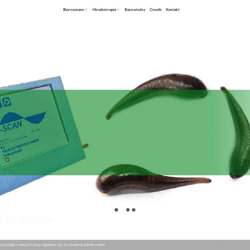 Leczenie pijawkami - Ząbki