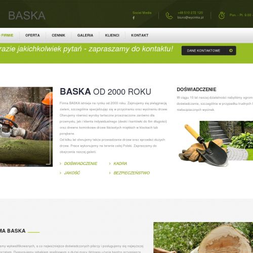 Wycinka drzew Ruda śląska