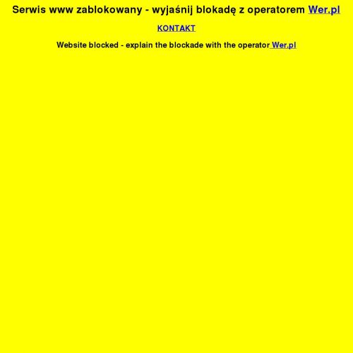 Sklep z modelami do sklejania - Poznań