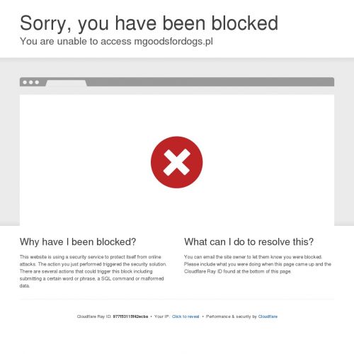 Zabawka szarpak dla psa